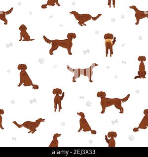 Irish setter modello senza giunture. Pose diverse, colori del rivestimento. Illustrazione vettoriale Illustrazione Vettoriale