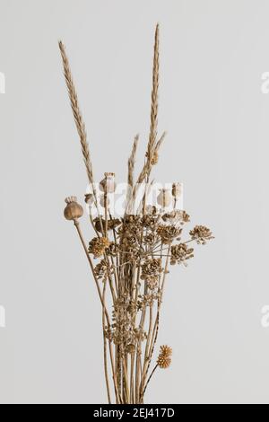 Bouquet di fiori secchi marroni su sfondo bianco. Testa di papavero asciugata, pampas ed erba. Foto Stock