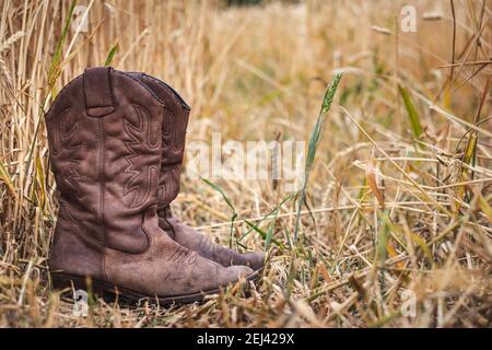 Stivali da cowboy in campo di grano. Vecchio stivale in pelle usurato all'esterno. Stile retrò still life delle calzature Foto Stock