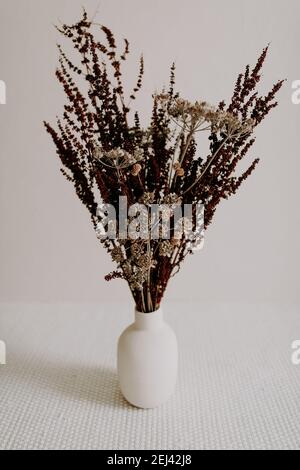 Fiore rosso essiccato in vaso di ceramica, colore grigio sfondo Foto Stock