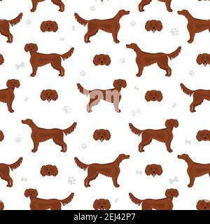 Irish setter modello senza giunture. Pose diverse, colori del rivestimento. Illustrazione vettoriale Illustrazione Vettoriale