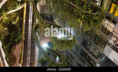 BANGKOK, THAILANDIA - 18 DICEMBRE 2018 il centro commerciale di lusso Emquartier. Design di centro commerciale, verde eco-compatibile concetto. Giardino pensile, f Foto Stock