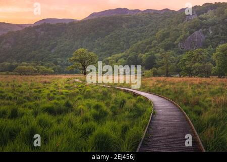 Una passerella vuota nel paesaggio erboso di Derwentwater durante un tramonto colorato o un'alba vicino a Keswick nel Lake District, Cumbria, Inghilterra. Foto Stock