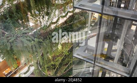 BANGKOK, THAILANDIA - 18 DICEMBRE 2018 il centro commerciale di lusso Emquartier. Design di centro commerciale, verde eco-compatibile concetto. Giardino pensile, f Foto Stock