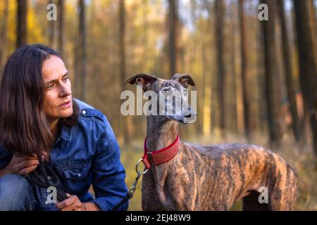 Greyhound e proprietario femminile di animali domestici. Fuoco selettivo sul cane. Galgo spagnolo che guarda via. Donna e il suo cane durante la passeggiata in foresta in autunno Foto Stock