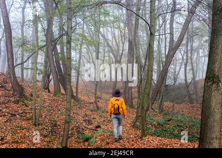 Escursioni turistiche nella foresta di nebbia. Escursioni a piedi nel bosco d'autunno. Moody atmosfera in natura. Trekking al mattino freddo Foto Stock