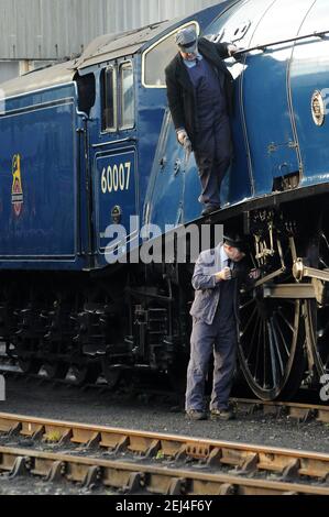 Olio per il conducente "ir Nigel Gresley". Foto Stock