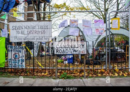 ISLINGTON, LONDRA, INGHILTERRA - 18 novembre 2021: Salvare i nostri manifestanti alberi a Dixon Clark Court, protestando contro la distruzione di sette 50 anni Foto Stock