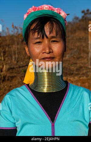 Donna di Padaung amichevole, zona di Loikaw, stato di Kayah, Myanmar Foto Stock