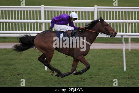 Fugitif guidato da James Best Coming home per vincere il Will Cemis Happy 30th Birthday handicap hurdle all'uttoxeter racecourse. Data immagine: Domenica 21 febbraio 2021. Foto Stock