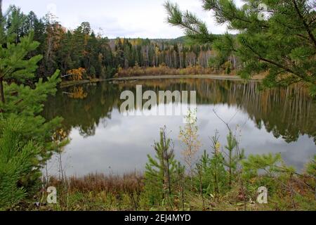 Uno sguardo attraverso l'erba sulla superficie calma del lago. Sono visibili le meraviglie della foresta autunnale. Foto Stock