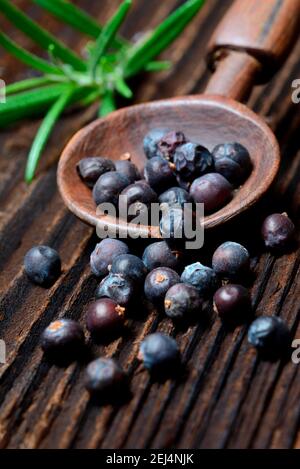 Bacche di ginepro essiccate ( Juniperus communis) su pala di legno, ramoscello di rosmarino / Foto Stock