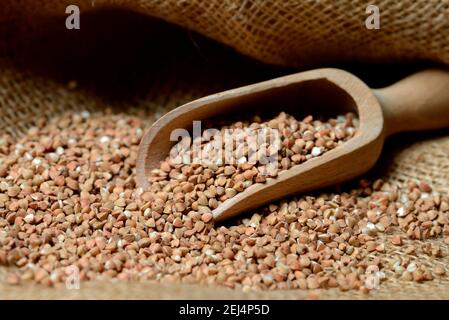 Grano saraceno (Fagopyrum esculentum) , pala in legno Foto Stock