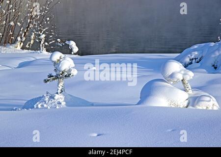 Due piccoli alberi di Natale ricoperti di cappelli da neve e acqua aperta sullo sfondo. Foto Stock