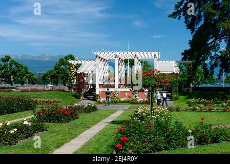 Rose Garden, Parc de la Grange, Ginevra, Cantone di Ginevra, Svizzera Foto Stock