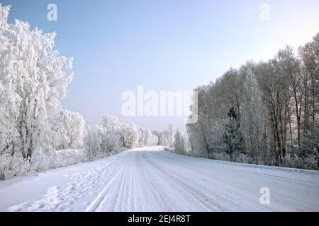 Paesaggio invernale in tonalità argento. L'ampia strada coperta di neve gira a destra e gli alberi vestiti di argento lungo entrambi i bordi della strada. Foto Stock