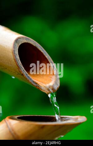 Fontana di bambù giapponese, canna di bambù, canna di canna Foto Stock