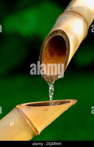 Fontana di bambù giapponese, canna di bambù, canna di canna Foto Stock