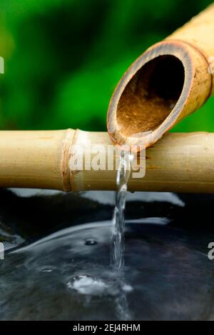 Fontana di bambù giapponese, canna di bambù, canna di canna Foto Stock