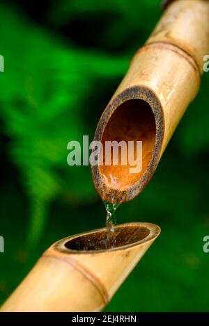 Fontana di bambù giapponese, canna di bambù, canna di canna Foto Stock