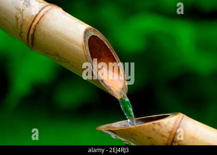 Fontana di bambù giapponese, canna di bambù, canna di canna Foto Stock