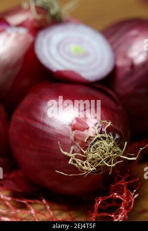 Cipolle rosse comuni (Allium cepa) tagliate a fette Foto Stock