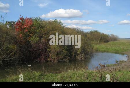 Incredibile paesaggio autunnale: Giro di un piccolo fiume e foglie colorate di cespugli. Foto Stock