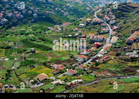 Campi terrazzati vicino a Camara de Lobos, Madeira, Portogallo Foto Stock