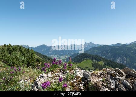 Vista dalla montagna alla valle di Tannheim e la montagna Rote Flüh sullo sfondo. Foto Stock