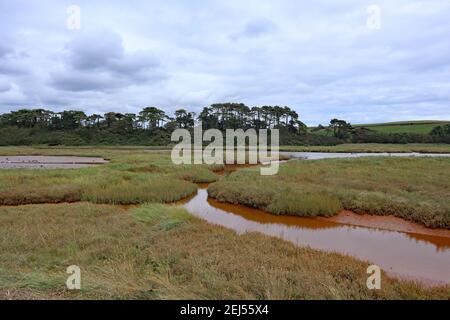 Il fiume marrone e tortuoso Otter scorre attraverso la pianura alluvionale e la riserva naturale di Budleigh Salterton, Devon, prima di entrare nel mare. Foto Stock