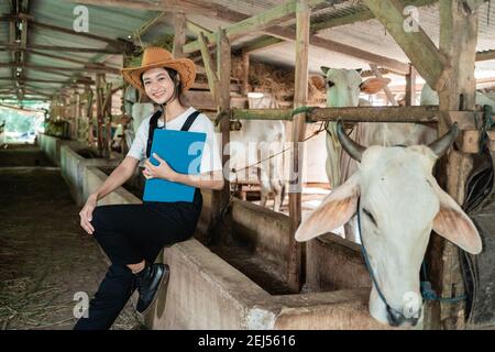 donna cowboy con un clipboard si siede a un alimentatore di mucche mentre si indossa un cappello in una grande mucca capannone uno sfondo di mucca Foto Stock