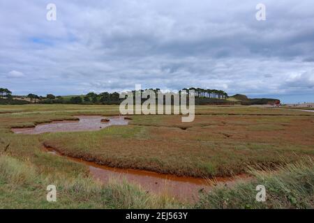 Il fiume marrone e tortuoso Otter scorre attraverso la pianura alluvionale e la riserva naturale di Budleigh Salterton, Devon, prima di entrare nel mare. Foto Stock