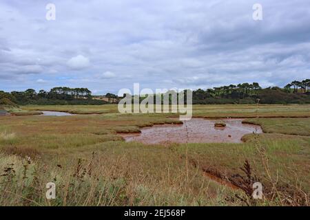 Il fiume marrone e tortuoso Otter scorre attraverso la pianura alluvionale e la riserva naturale di Budleigh Salterton, Devon, prima di entrare nel mare. Foto Stock