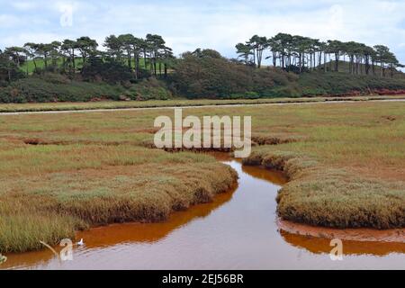 Il fiume marrone e tortuoso Otter scorre attraverso la pianura alluvionale e la riserva naturale di Budleigh Salterton, Devon, prima di entrare nel mare. Foto Stock