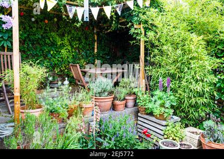 Lupini, lavanda, guanti di volpe e altri fiori perenni in un tranquillo patio giardino in una zona residenziale di Londra, Regno Unito Foto Stock