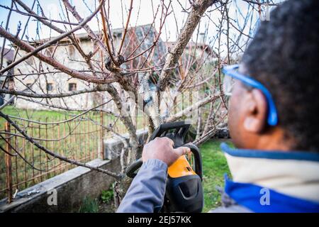 Taglialegno taglia legno e indossa occhiali di protezione Foto Stock