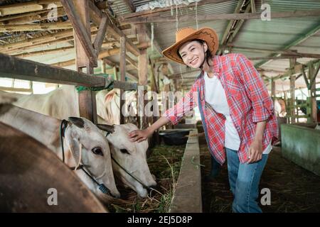 una bella donna che indossa un cappello sorridente alla macchina fotografica mentre si prende cura di una mucca di alimentazione con una mucca sfondo fienile Foto Stock