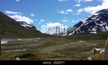 un gregge di pecore che si trova sulla cima di una montagna Foto Stock