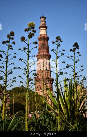 Qutb Minar, complesso Qutub, Mehrauli, Nuova Delhi, India Foto Stock