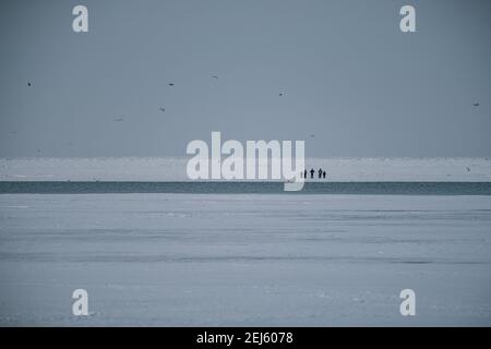 Cleveland, Ohio, Stati Uniti. 21 Feb 2021. Le persone in difficoltà attendono il salvataggio dal ghiaccio del lago Erie da parte dei membri della USCG Ice Rescue Team da Station Cleveland, così come da altre agenzie di soccorso locali, verso la fine di domenica pomeriggio, il 21 febbraio 2021 all'Edgewater Park a Cleveland, Ohio. Alle 12:43 EST, il Servizio meteorologico Nazionale a Cleveland emettere un avvertimento per non andare sul ghiaccio a causa dello sviluppo di crepe significative da venti meridionali. Secondo un Tweet dell'USCG Great Lake, la squadra di salvataggio del ghiaccio '''¦ USCG ha salvato 6 individui attraverso lo skiff del ghiaccio e gli altri 4 sono stati scortati via il ghiaccio da Foto Stock