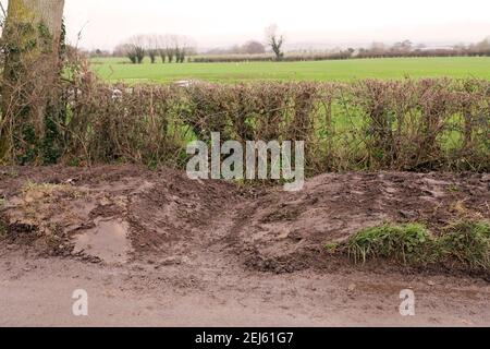 Febbraio 2021 - nuovi canali tagliano attraverso la chiatta per permettere all'acqua di drenare fuori dall'autostrada nei fossi a bordo strada, vicino a Burtle Somerset, Regno Unito Foto Stock