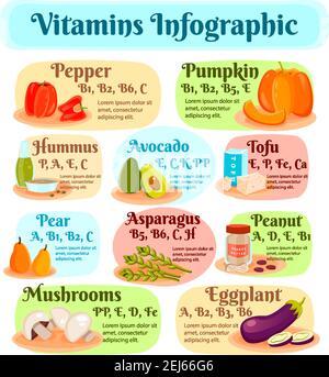 Infografiche vegetariane di cibo con vitamine in hummus, tofu, verdure e frutta, funghi e noci piatta illustrazione vettoriale Illustrazione Vettoriale