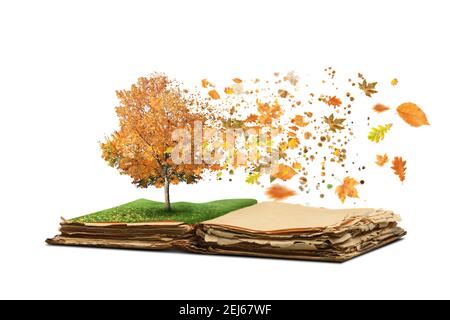 Apri il libro magico con albero d'autunno in crescita e foglie volanti su sfondo bianco Foto Stock