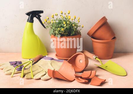 Vaso di fiori rotto e attrezzi di giardinaggio sul tavolo Foto Stock