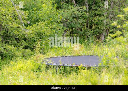 Un vecchio trampolino seduto in un campo sopravestato, con foresta dietro. Il telaio rotondo mostra macchie di ruggine. Parte del trampolino oscurata da cespugli. Foto Stock