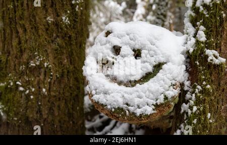 Faccia felice disegnata in neve su un albero Foto Stock