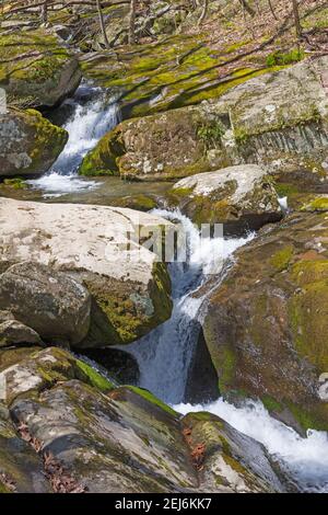Rose River Cutting a Path attraverso le rocce di montagna in Shenandoah National Park in Virginia Foto Stock