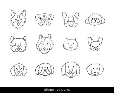 Set di teste di cani di razze diverse. Corgi, Pug, Chihuahua, Terrier, Retriever, Dachshund, Poodle. Illustrazione Vettoriale