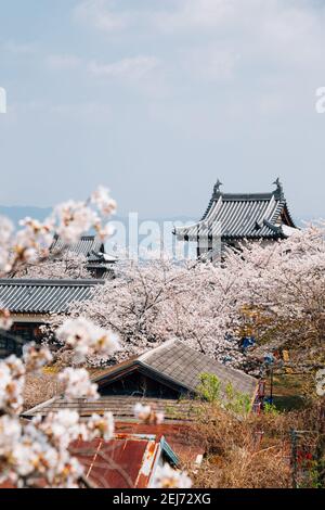 Parco del castello di Koriyama con fiori di ciliegio a Nara, giappone Foto Stock