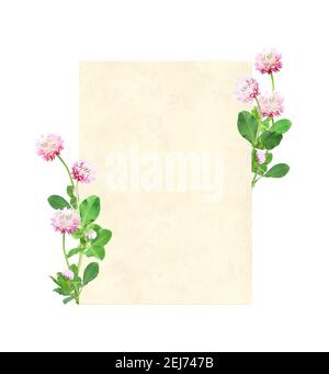 Carta retrò verticale con fiori di trifoglio rosso selvatico (Trifolium pratense). Modello Vintage eco. Carta vintage vuota con fiore di trifoglio. Isolato su bianco Foto Stock